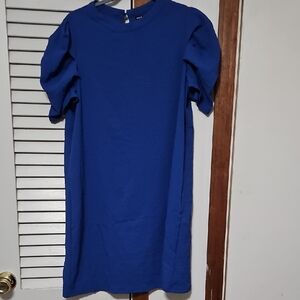 Blue Puff Sleeve Dress